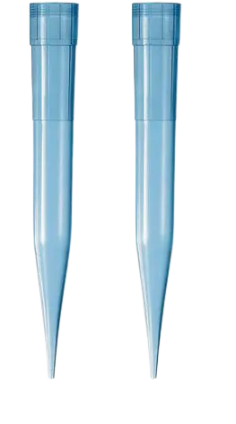 Blue Tips