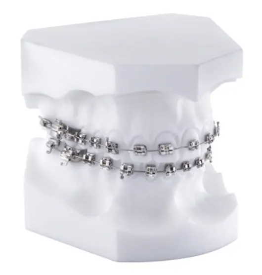Ortho Stone Plaster White 25kg
