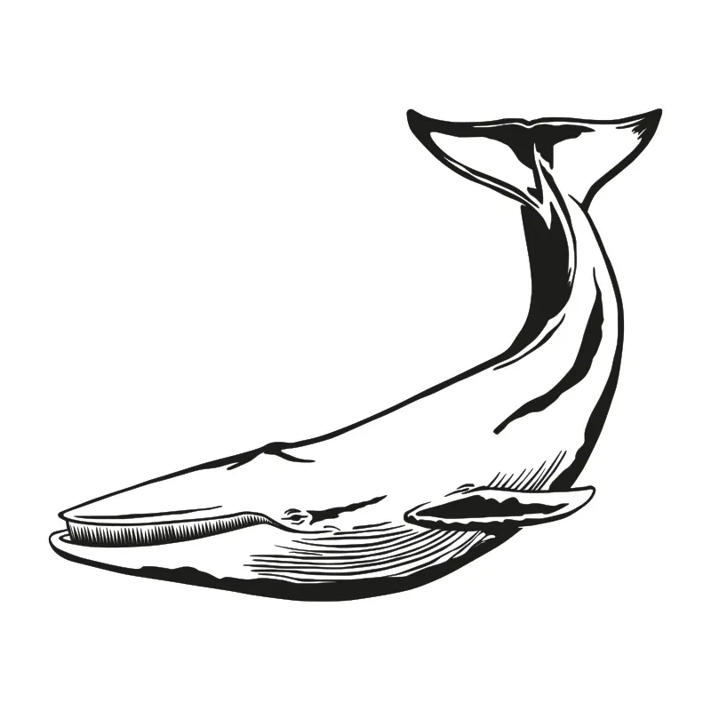 BLUE WHALE 5/16” MAXIMUM | 14 Oz | 400 Gms