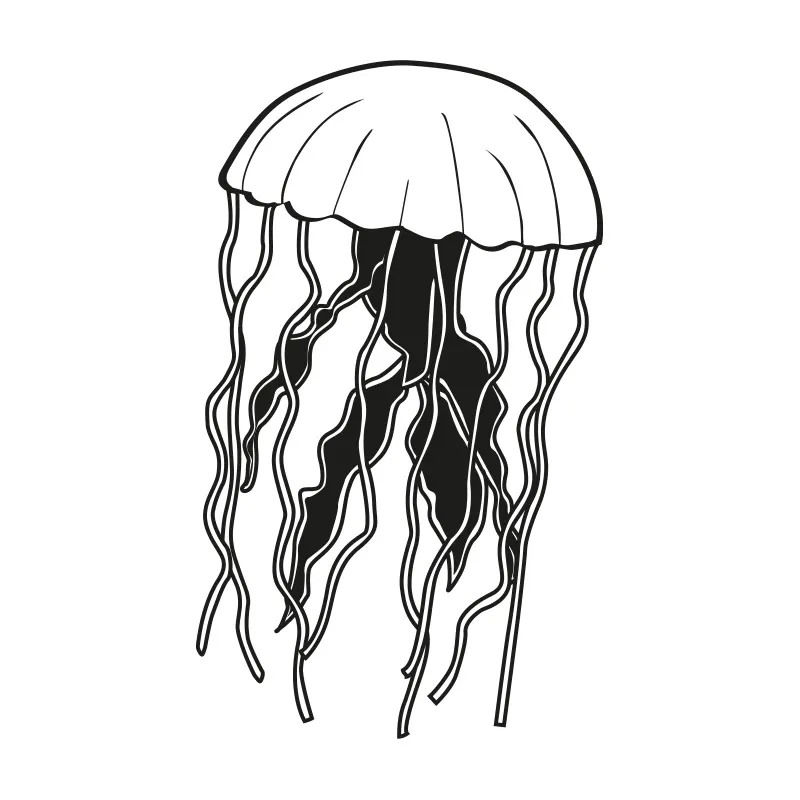 JELLYFISH 3/16” MEDIUM | 41/2 Oz | 125 Gms