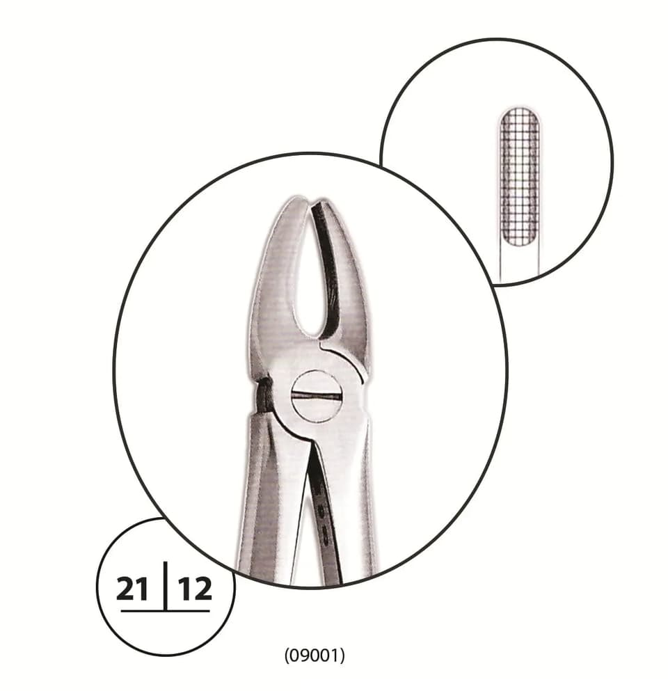 Upper Anterior Forceps #1 - Bibodent | Dental Supplies & Equipment