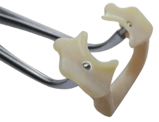 Soft Clamp - Bibodent | Dental Supplies & Equipment