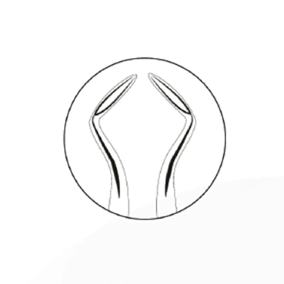 Apexo Elevators - Bibodent | Dental Supplies & Equipment