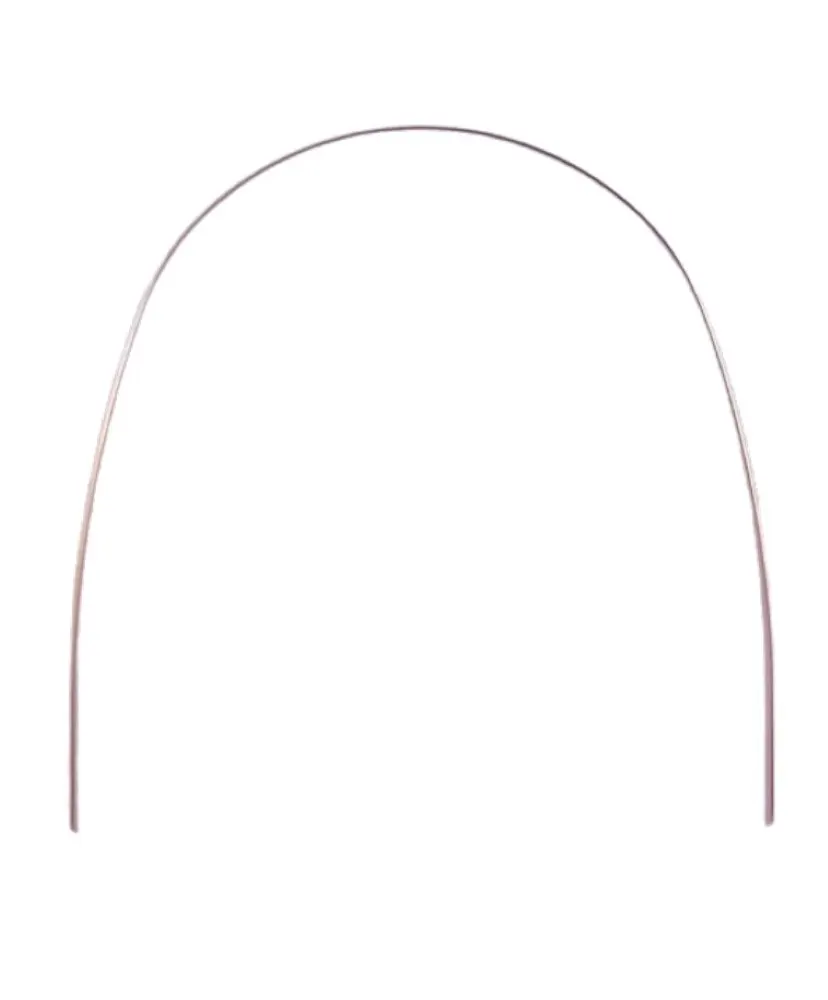 S/S Archi wire , Orhtoqust