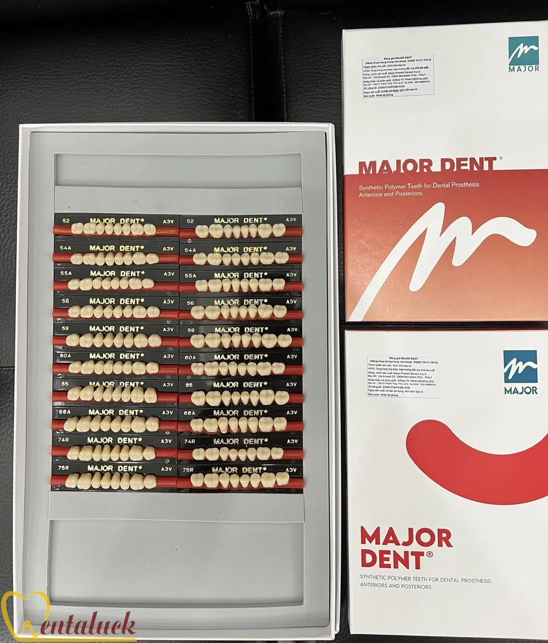 Răng Nhựa 2 Lớp MAJOR DENT – Màu A1