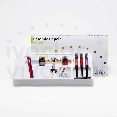 Ceramic Repair System Kit
