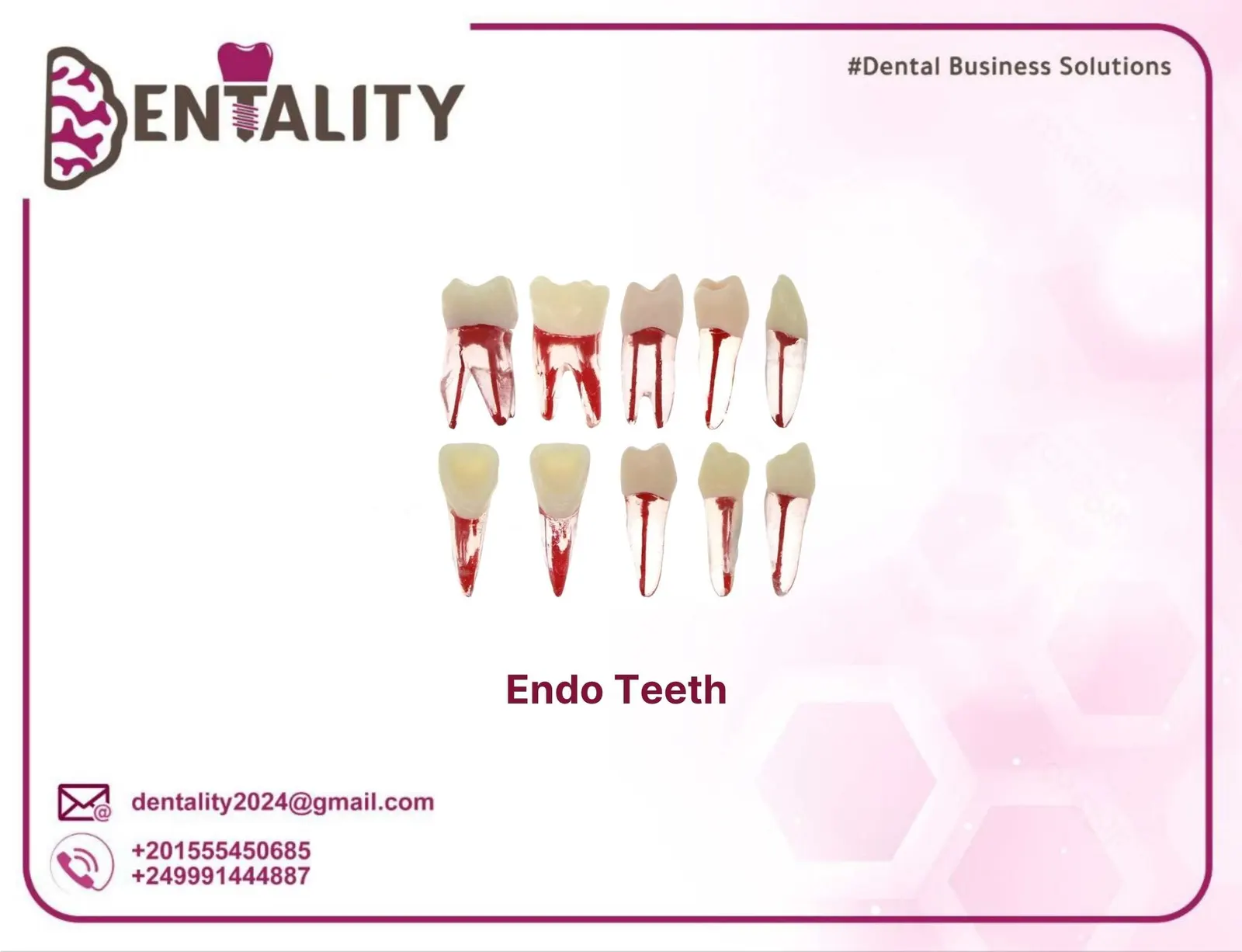 Endo Teeth