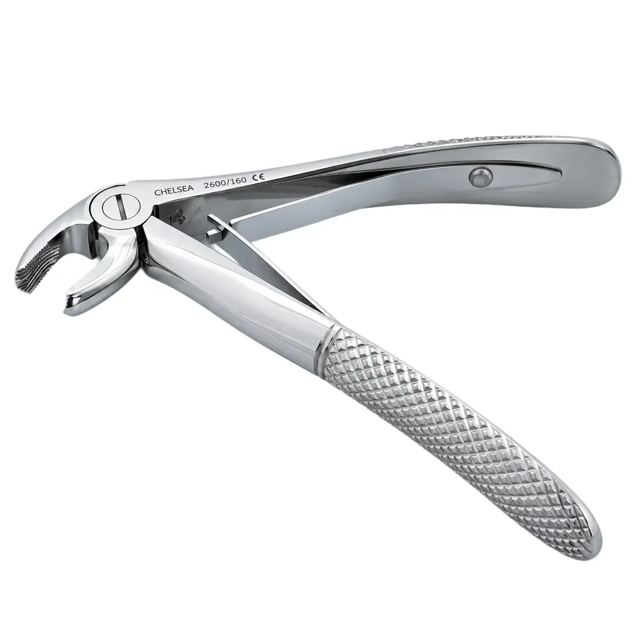 Lower Molars and Premolars 2600-160