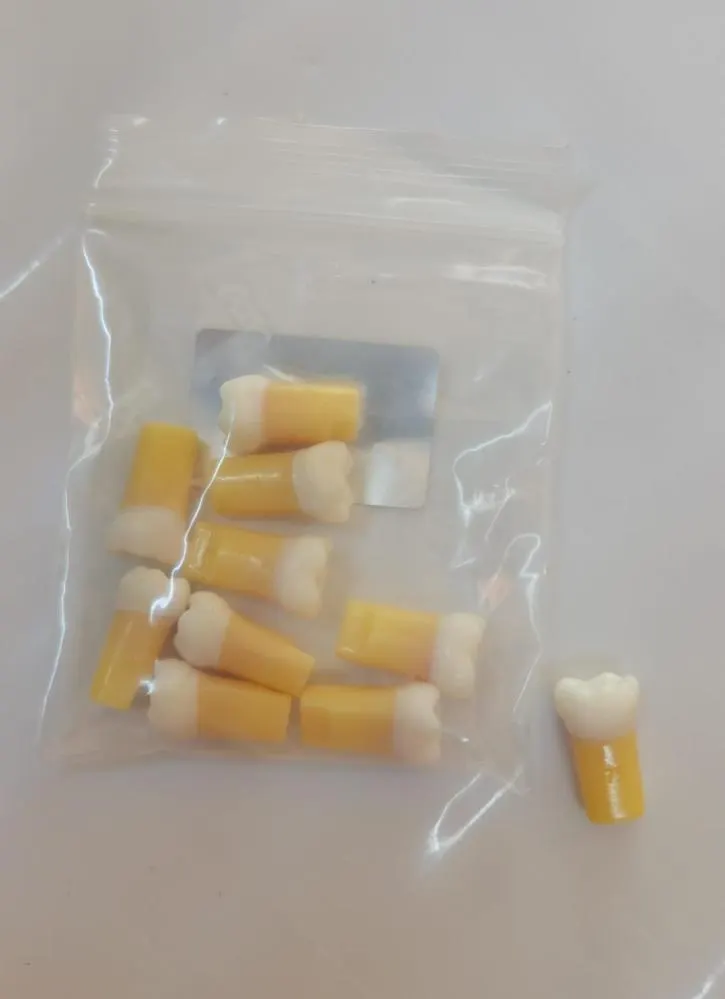 Artificial Root canal teeth Pedo 1 Pcs