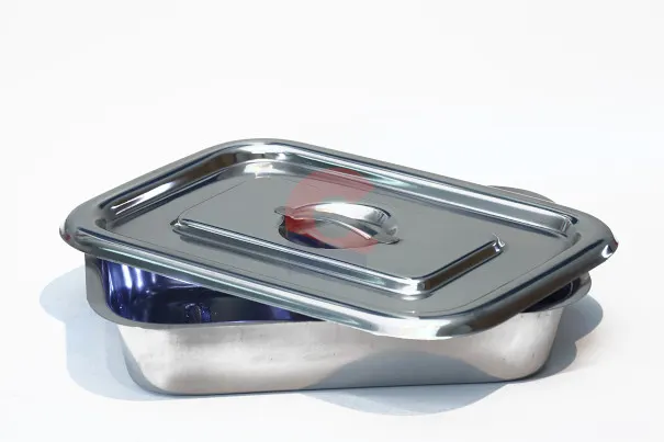 Tray with Cover- Stainless Steel Medium