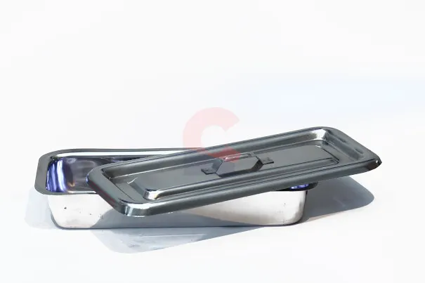 Tray with Cover- Stainless Steel Small