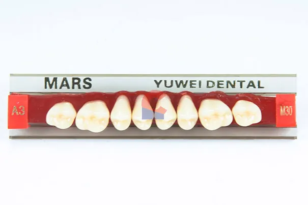 MARS Pontics M30U A3
