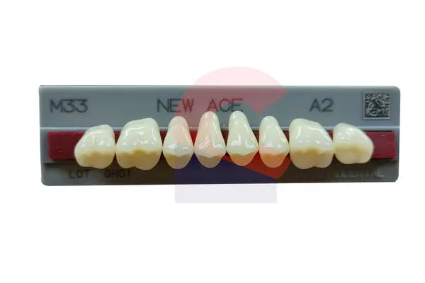 New Ace Pontics 33U A2