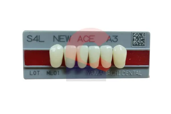 New Ace Pontics S4L A3