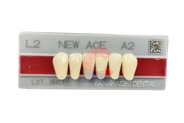 New Ace Pontics L2 A2