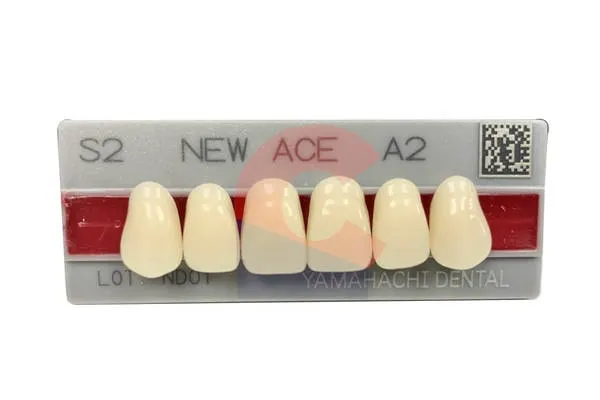 New Ace Pontics S2 A2