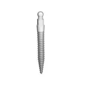 MDL2010 Mini Implant