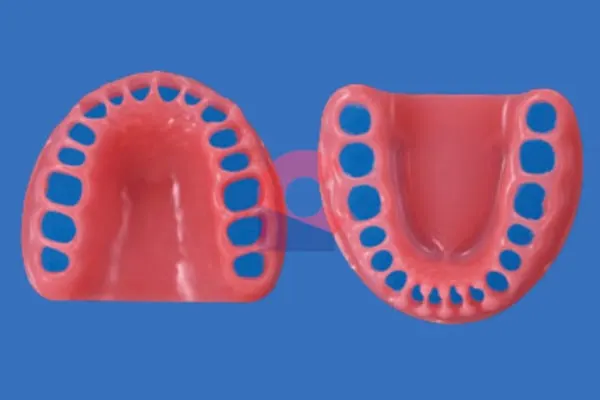 Nissin Gingiva PER2001-GUL-SP-32 Pink