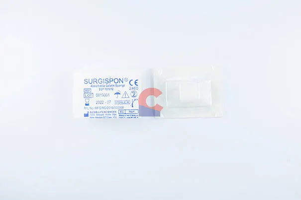 Gel Foam Dental Sponge Regular