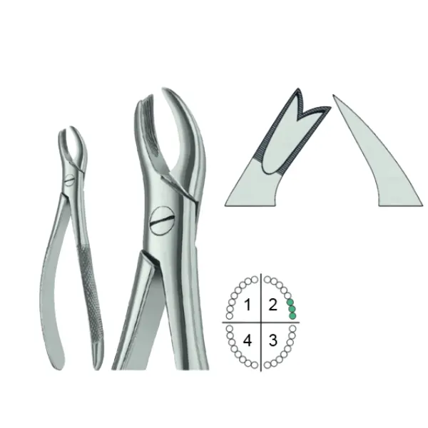Extracting Forceps English Pattern Fig.90