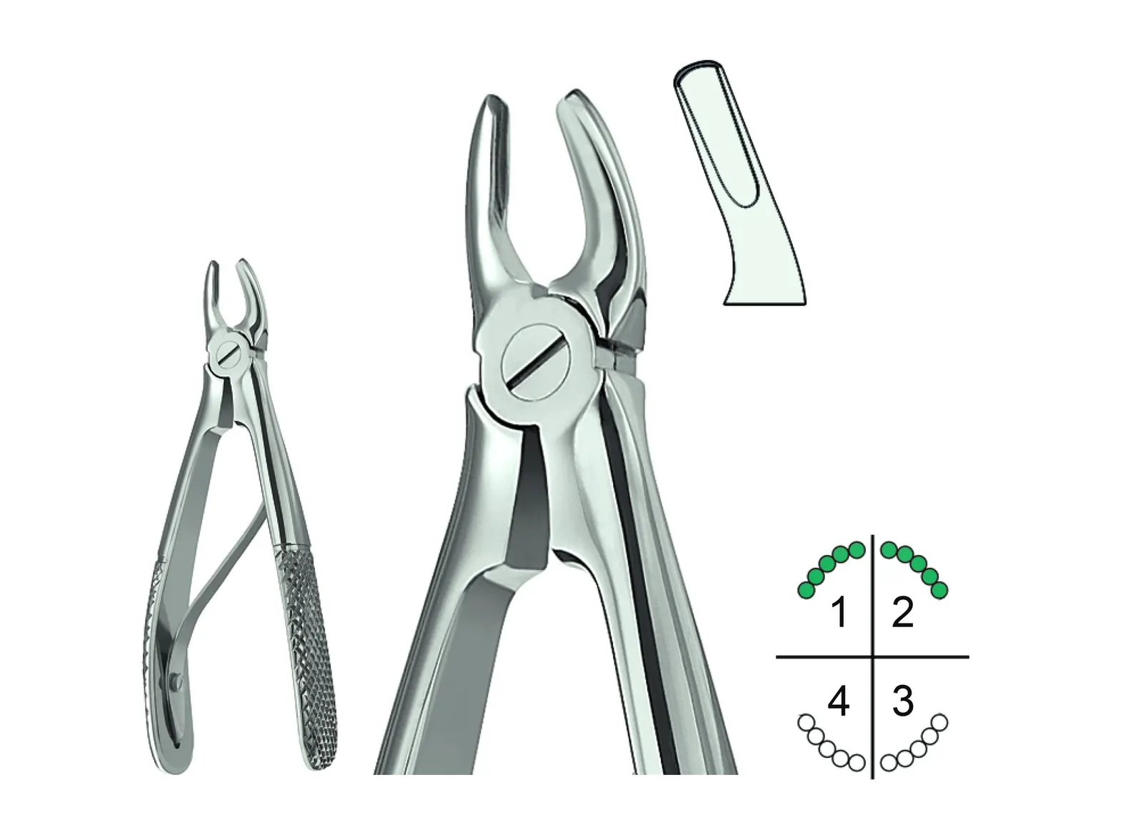 Extracting Forceps For Children English Pattern Klein Fig.139