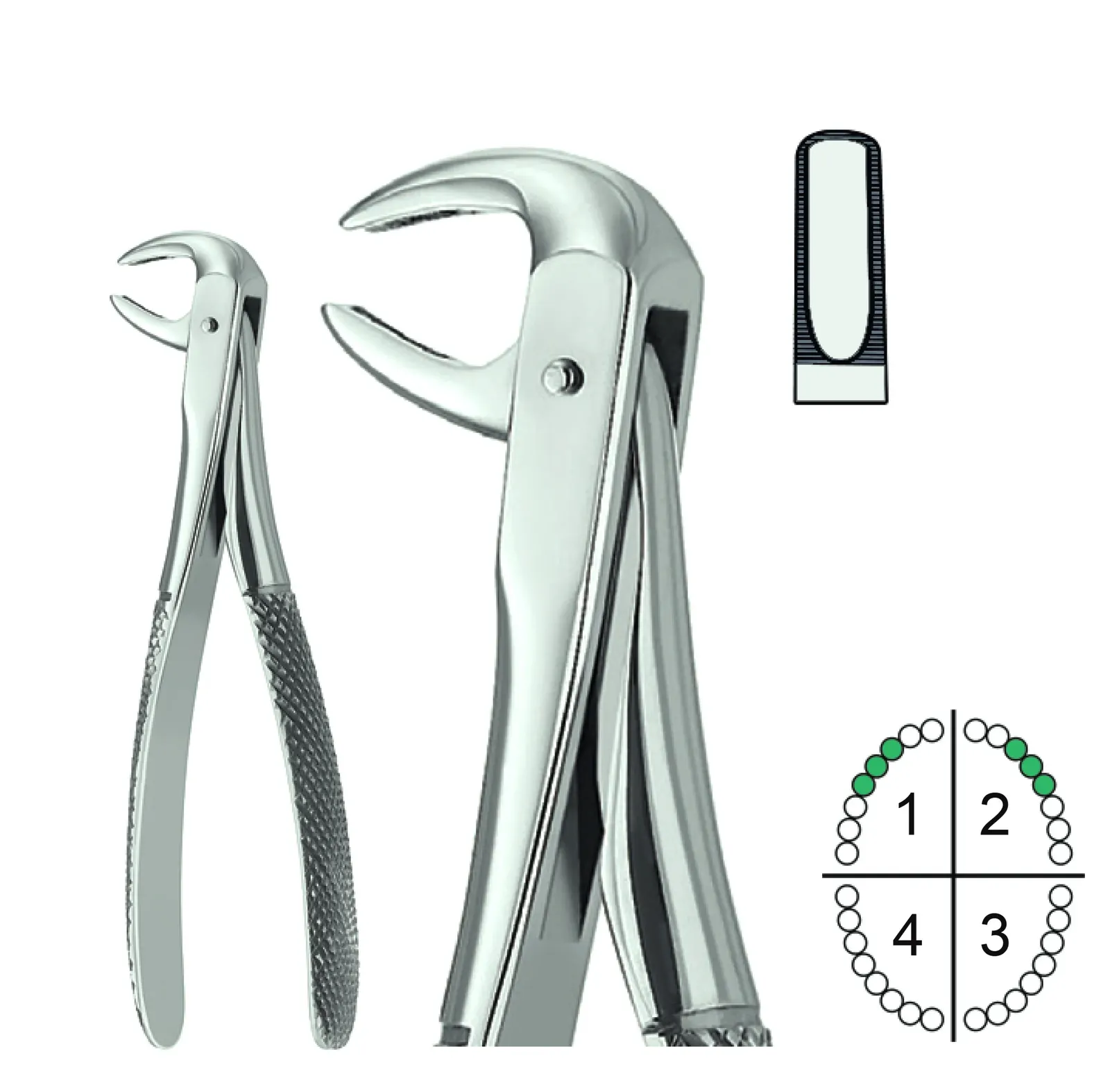 Extracting Forceps English Pattern Fig.75
