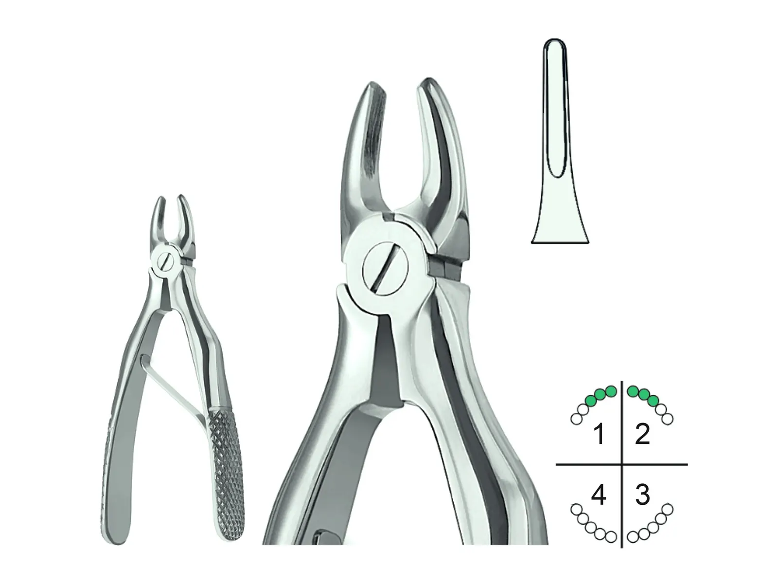 Extracting Forceps For Children English Pattern Klein Fig.137
