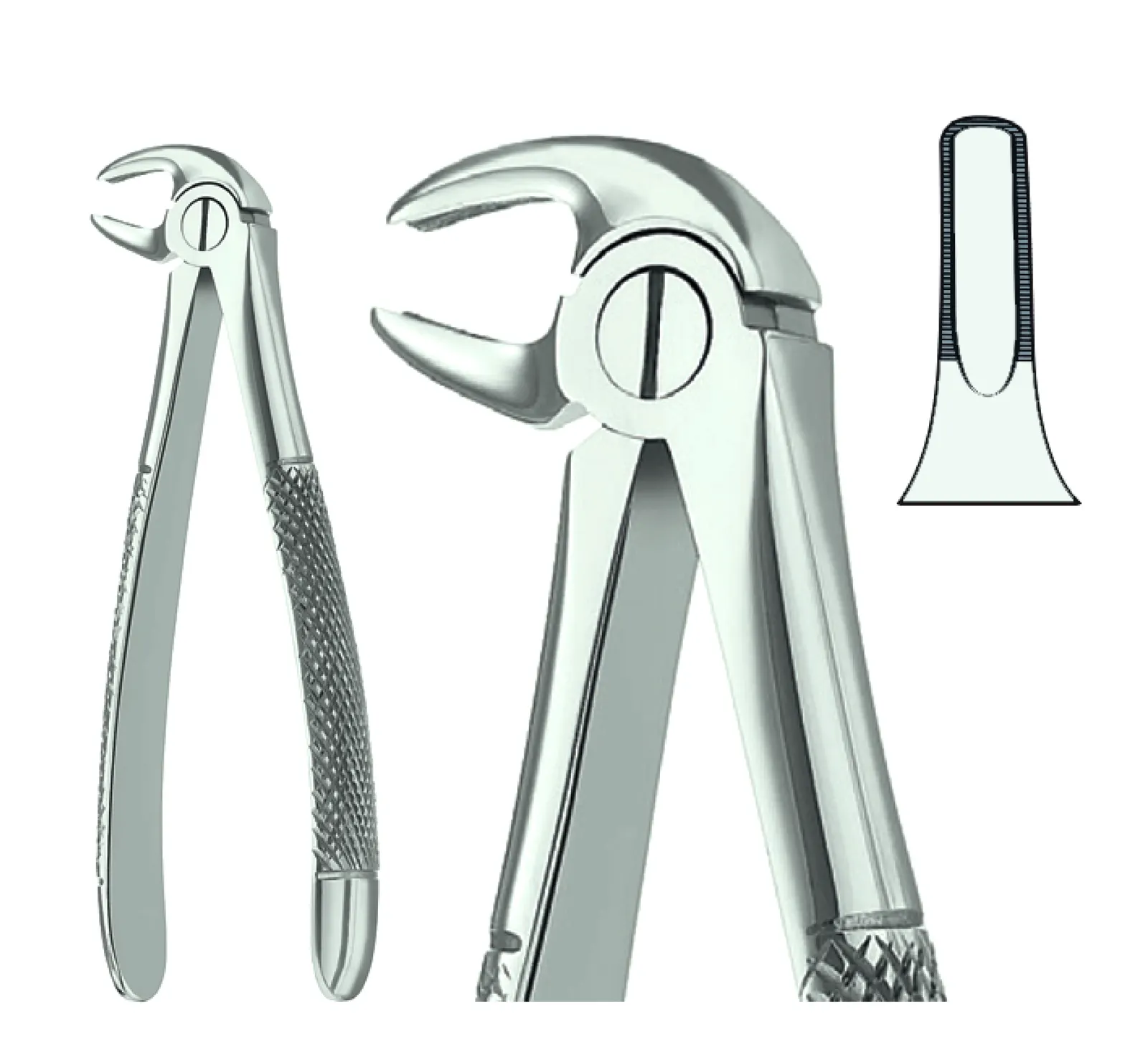 Extracting Forceps English Pattern Fig.13
