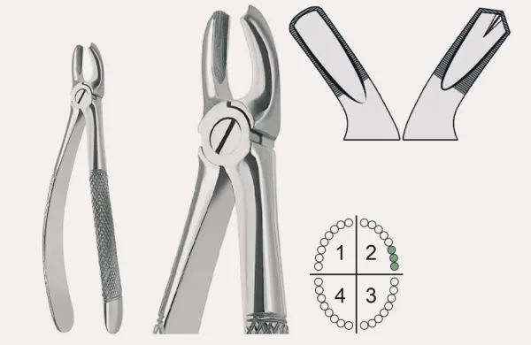 Extracting Forceps English Pattern Fig.18