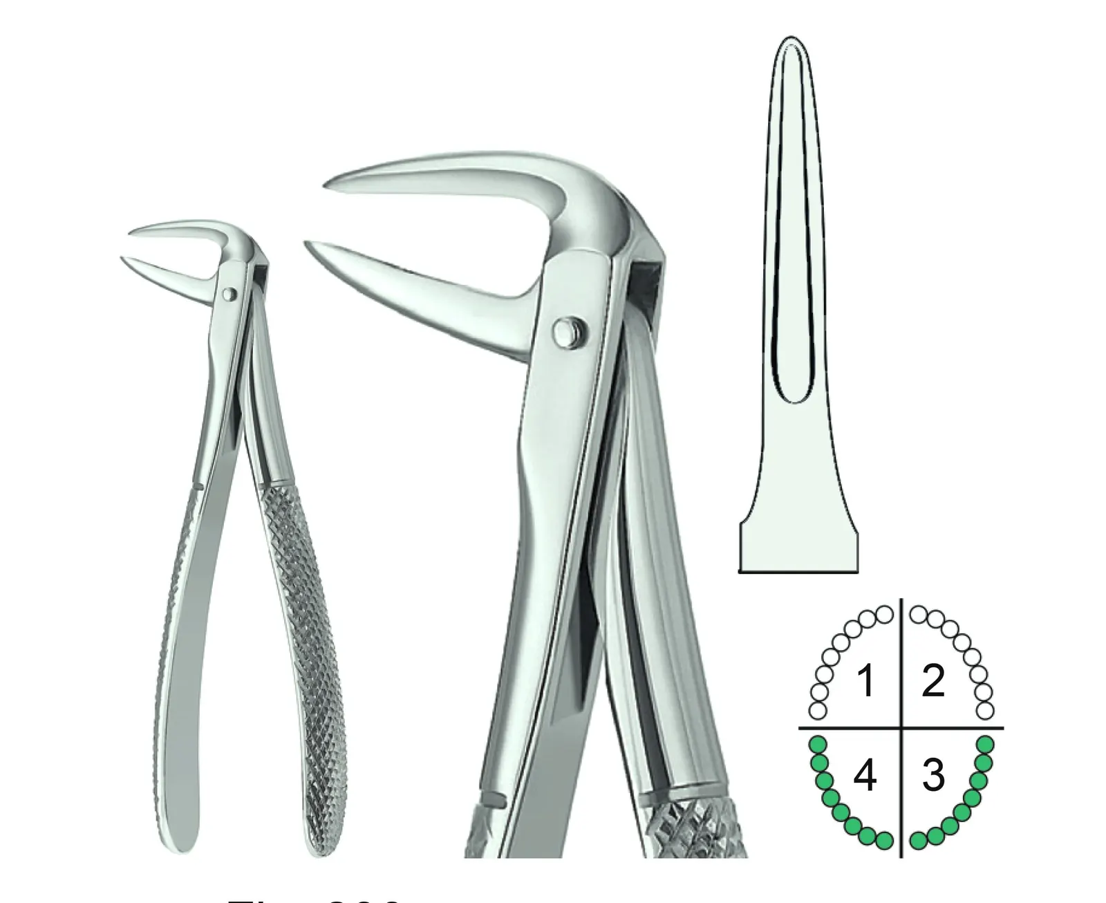 Extracting Forceps English Pattern Fig.233