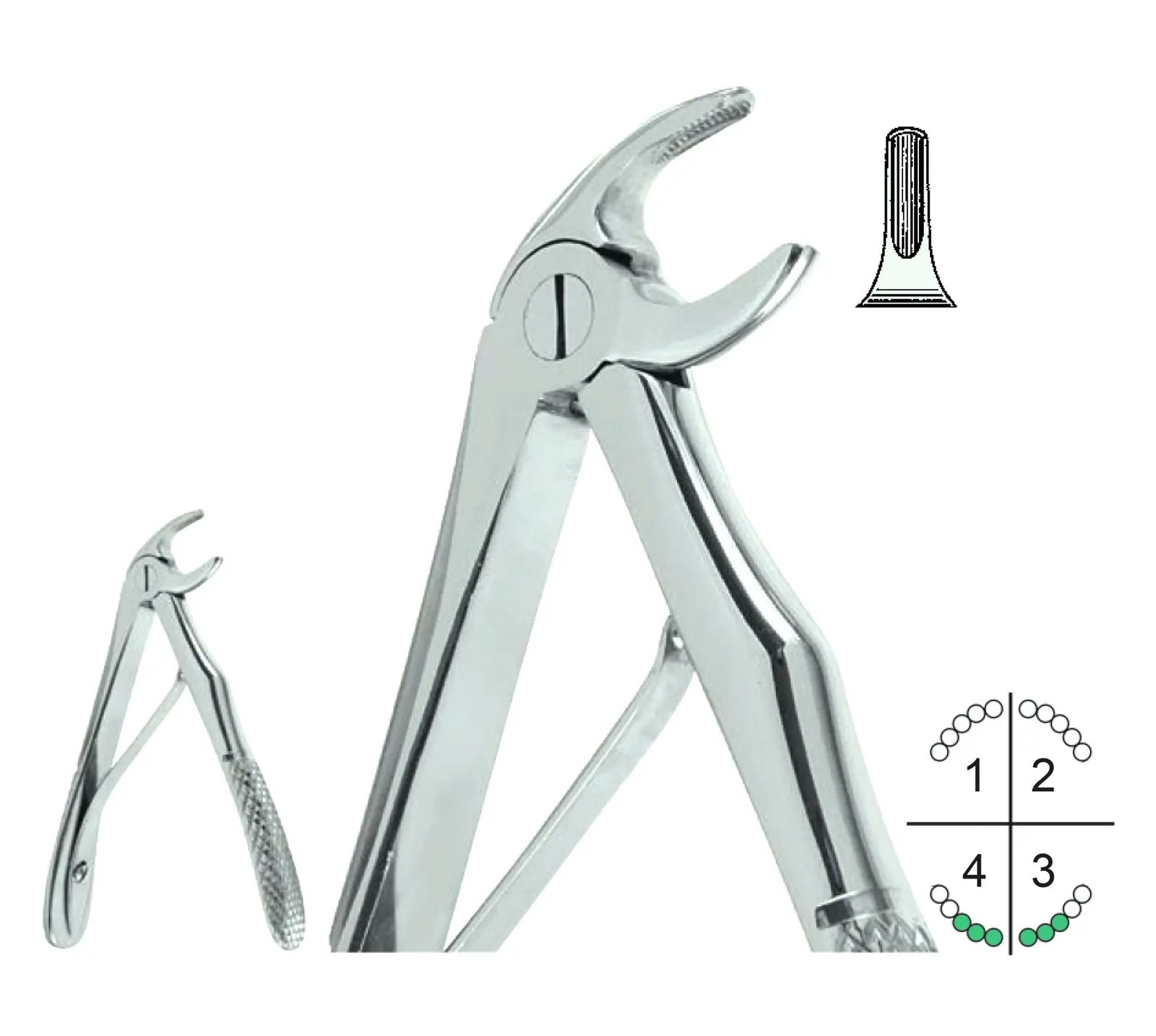Extracting Forceps For Children English Pattern Klein Fig.5