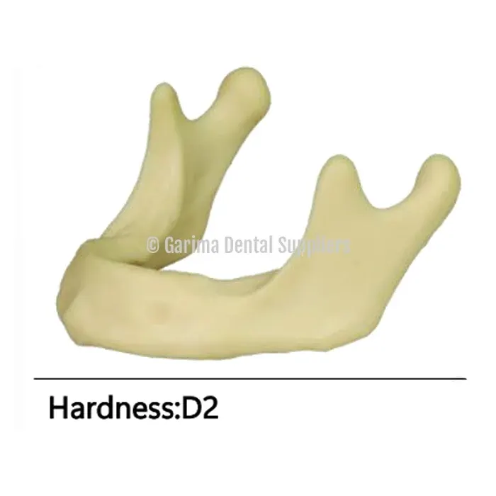 JM Implant Practice Mandible Jaw Model