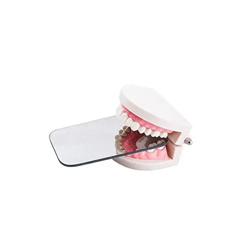 United Dental Intraoral Reflector Occulusal Large