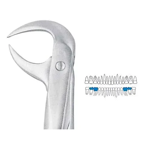 Ace Forcep Adult FX86B – Lower Molars