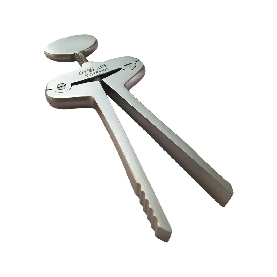 Ace Mouth Gags Heister 13cm