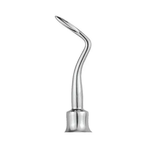 Ace Elevator – Root Flohr Right