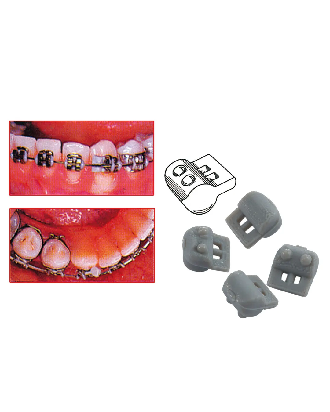 Dispositifs de rotation