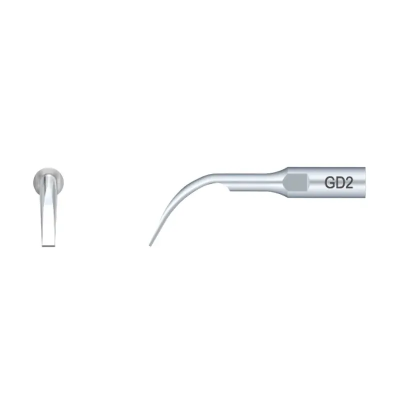 insert DTE – GD2